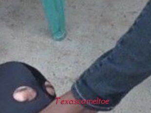 Texascameltoe