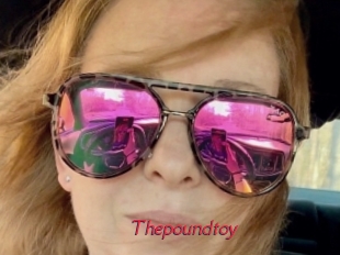 Thepoundtoy