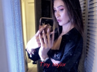 Tiny_taylor