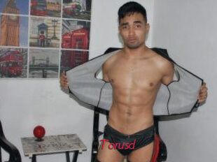 Torusd