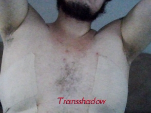 Transshadow