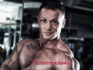 Tridentmuscles4u