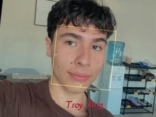 Troy_king