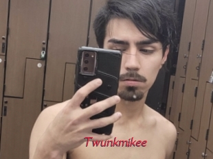 Twunkmikee