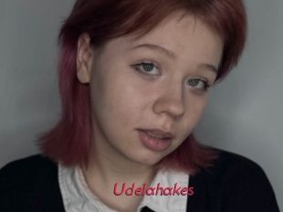 Udelahakes