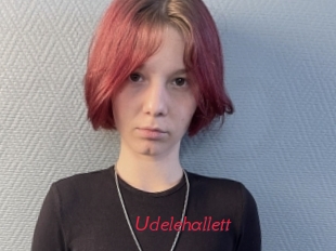 Udelehallett