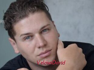 VelosaDavid