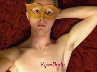 ViperDude
