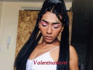 Valentinasecret