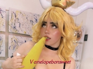Vanelopebonsweet