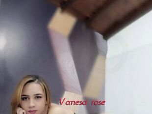 Vanesa_rose