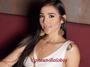 Vanesavillalobos