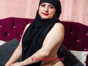Vanezamarcial