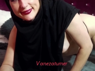 Vanezaturner