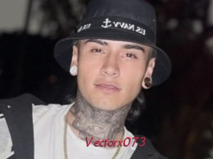 Vectorx073