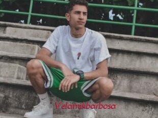 Velamikbarbosa
