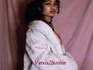 Venus2bunnie