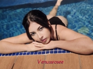 Venussrosee