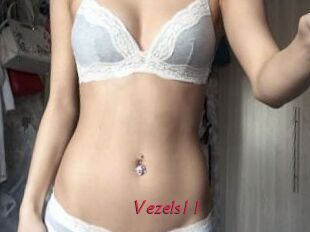Vezels11