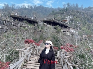 Vicion