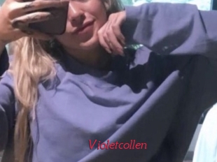 Violetcollen