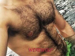WEREWOLF