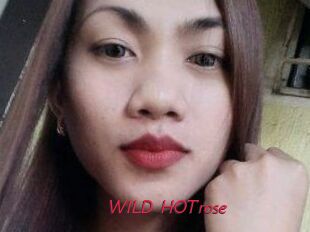 WILD_HOTrose
