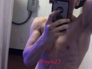 Waylo23