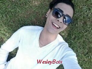 Wesley_Boix