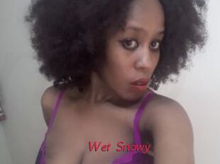 Wet_Snowy