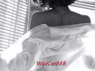 WildCat888