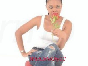 WildLittleKitty22