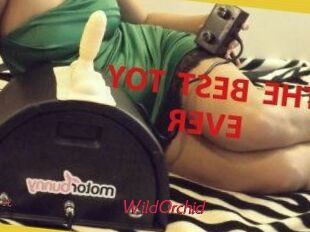WildOrchid_