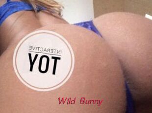 Wild_Bunny_