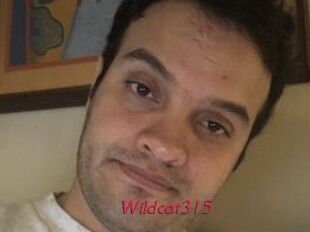 Wildcat315