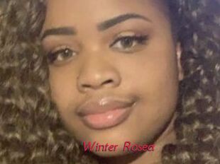 Winter_Rosea
