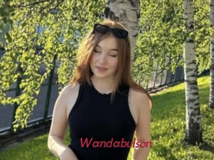 Wandabulson