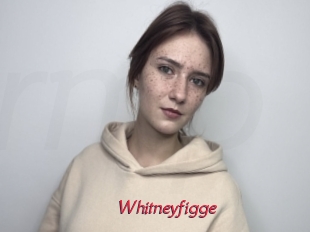 Whitneyfigge