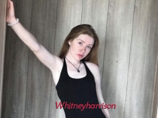 Whitneyharvison