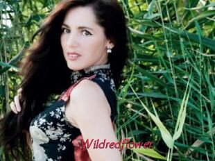 Wildredflower