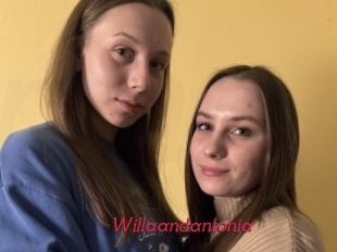 Willaandantonia