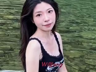 Willfang