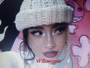 willowrosse Red Movie Post
