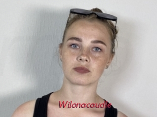 Wilonacaudle