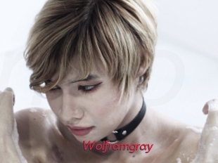 wolframgray Red Movie Post