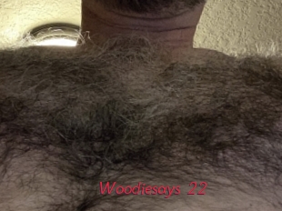 woodiesays_22 Red Movie Post