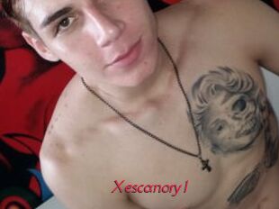 Xescanory1