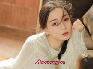Xiaopengyou