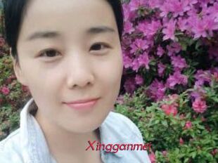 Xingganmei