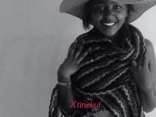Xtinekui